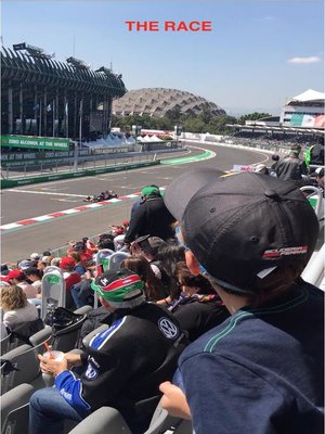 cover image of The Race